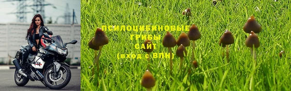 первитин Козловка