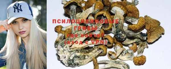 первитин Козловка
