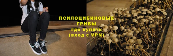 первитин Козловка