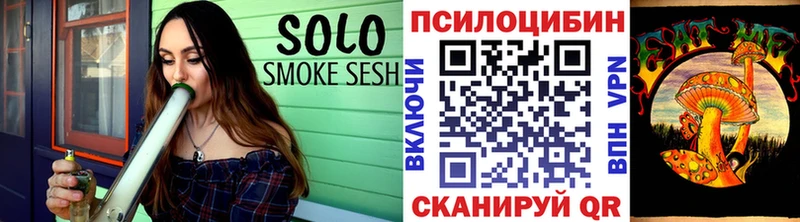 Купить  Димитровград  Псилоцибиновые грибы Psilocybe 